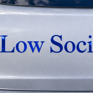 Low Society Aufkleber